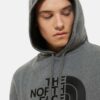 Felpa de la marca The North Face Gris